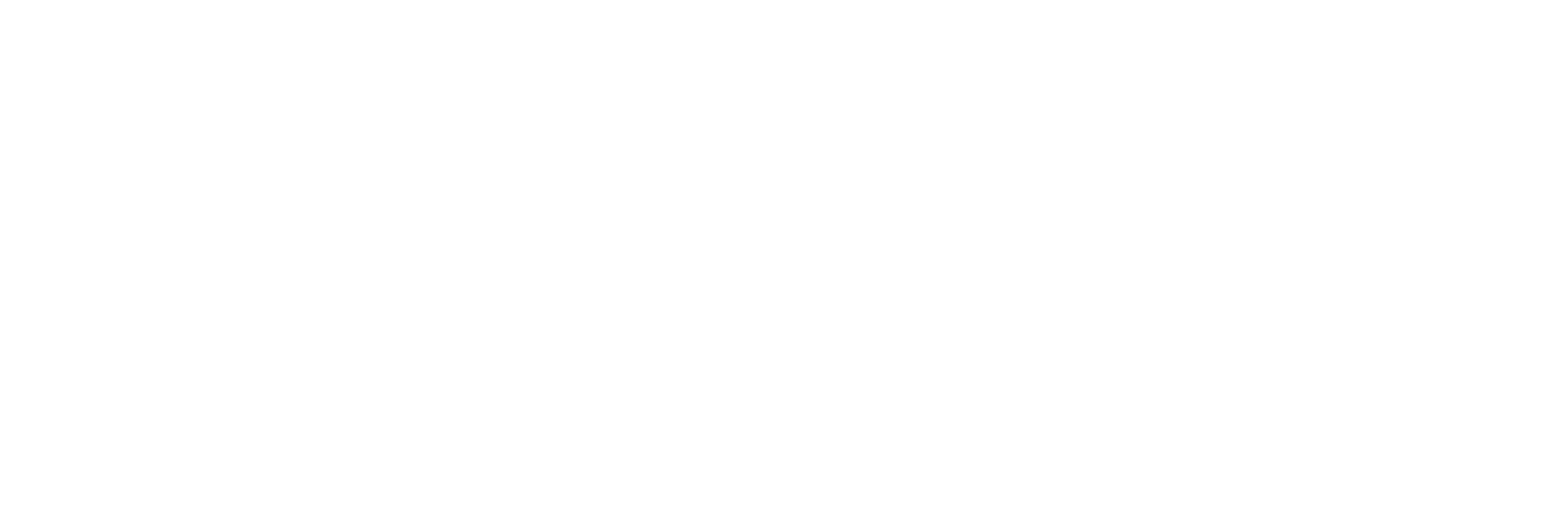 DiemUK logo beyaz
