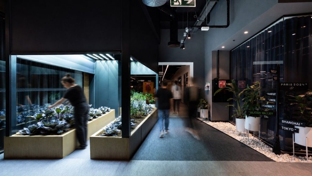 Sustainable office renovation incorporating biophilic design principles and energy-efficient systems